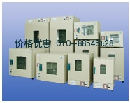 电热恒温鼓风干燥箱DHG-9248A