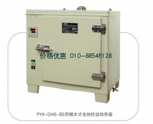 隔水式电热恒温培养箱PYX-DHS.600-BS-II