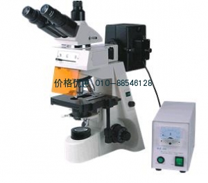 BM-19AY荧光显微镜