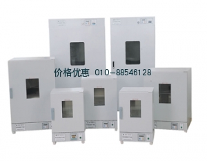 立式鼓风干燥箱-DGG-9030B