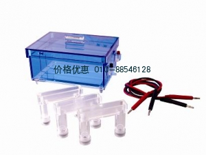 DYCP-43蛋白质回收电泳仪(槽)