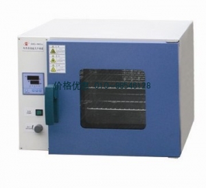 电热恒温鼓风干燥箱DHG-9023A