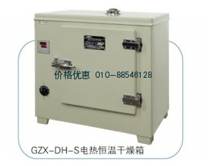 电热恒温干燥箱GZX-DH.500-BS