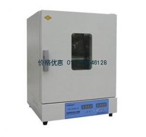 电热恒温鼓风干燥箱(300℃)DHG-9623BS-Ⅲ