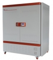 程控霉菌培养箱BMJ-800C