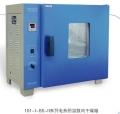 鼓风干燥箱GZX-GF101-5-BS-II