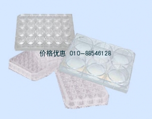 WD-2107细胞培养板