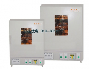 老化试验箱LSX-401A
