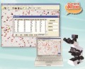 WKL-702颗粒图像分析仪