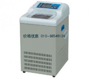 *低温冷却液循环机（泵）DL-1020