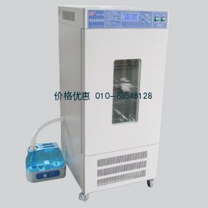 恒温恒湿箱LHS-450