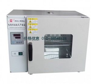 鼓风干燥箱DGG-9070A
