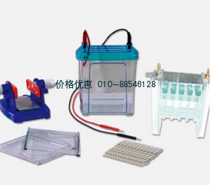 DYCZ-26B一体式双向电泳仪
