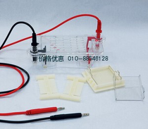 DYCP-31BN琼脂糖水平电泳仪(槽)(微型)