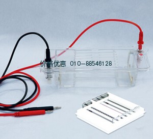 DYCP-32B琼脂糖水平电泳槽（中号）