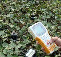 土壤水分记录仪/快速土壤水分仪TZS-3X