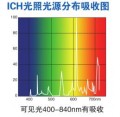 药品稳定性试验箱LHH-500GSP-UV