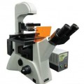 荧光显微镜LWD300-38LFT