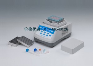 干式恒温器 DH300