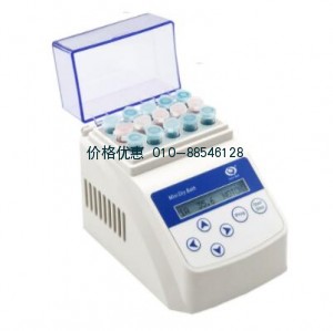 迷你金属浴GL-120B