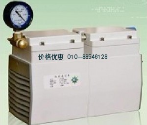 隔膜真空泵LH-85DL单相