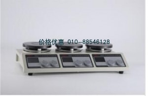 恒温磁力搅拌器T21-3